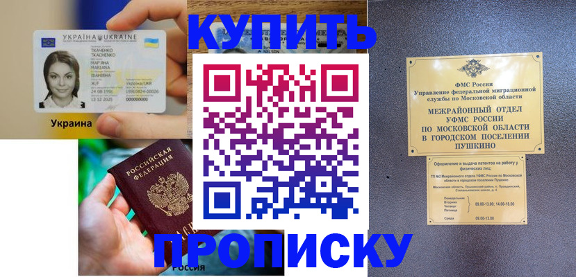 прописка законно в Новодвинске