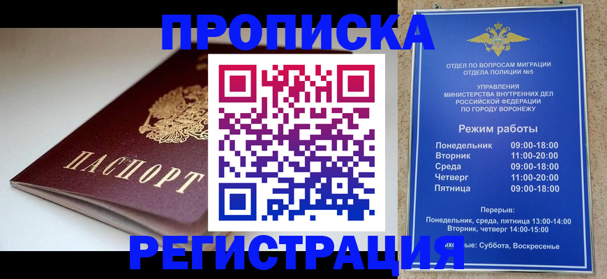найти адрес прописки в Новодвинске